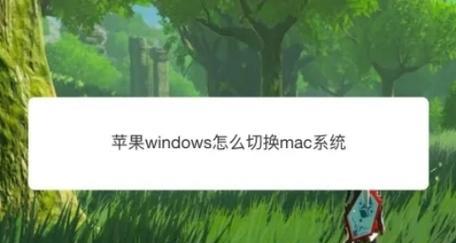 苹果安装Windows双系统教程（详细教你如何在苹果设备上安装Windows双系统）