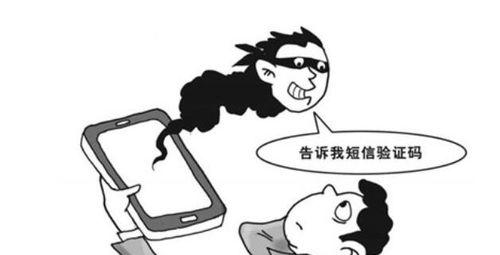 如何有效预防验证码诈骗？（掌握关键信息保护技巧，提高网络安全防范能力）