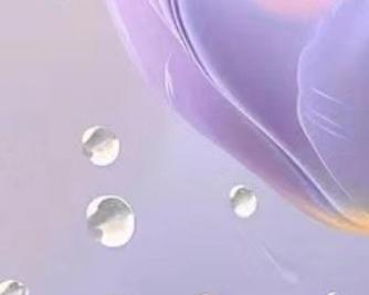 轻松筹——为您解决筹款难题的好帮手（利用轻松筹平台轻松筹集资，为您的梦想助力！）