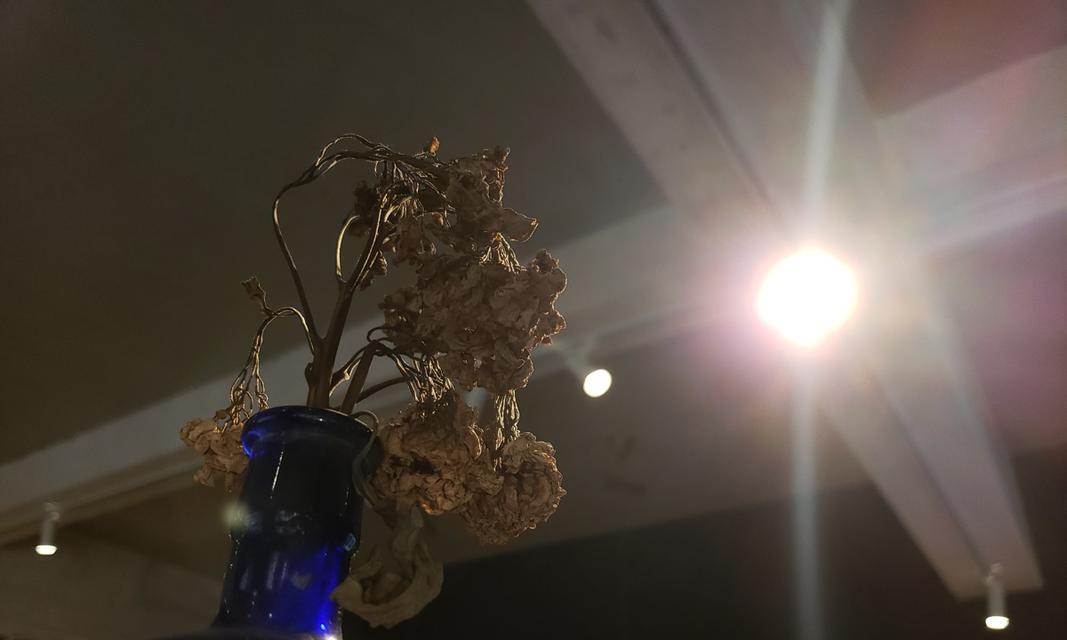 荣耀Note8拍照实力揭秘（高画质细节全覆盖，荣耀Note8拍照不容小觑）
